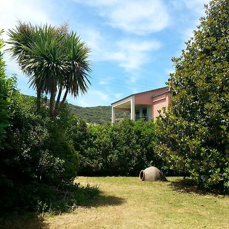 Villa Magnolia Ioannina Exterior foto